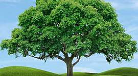 Timeline: Основные открытия в биологии