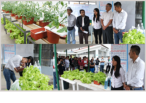 Sociedad de Ingenieros