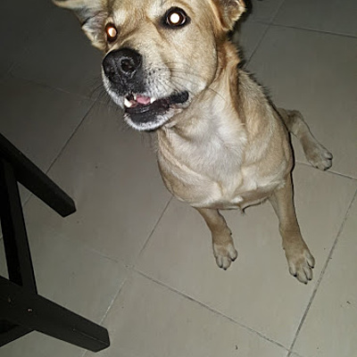 Timeline: Santiago's Routine