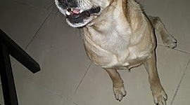 Timeline: Santiago's Routine