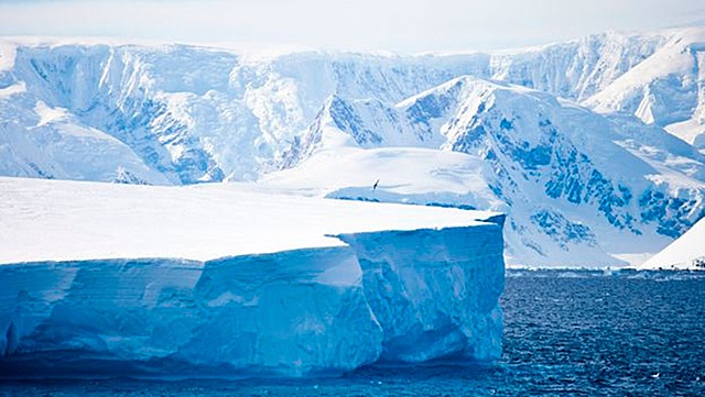 Hielos de Groenlandia y de la Antártida.