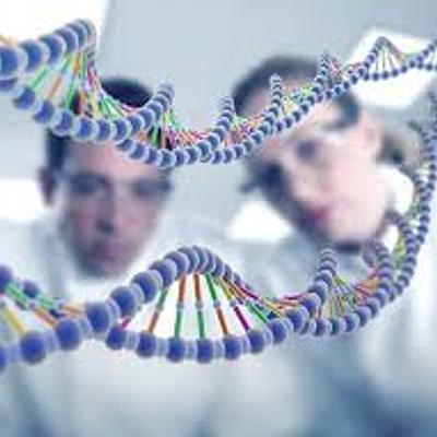 Timeline: Становление науки генетики