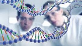 Timeline: Становление науки генетики