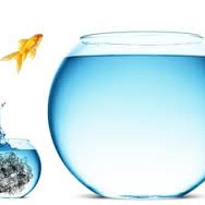 Timeline: Evolución del Internet