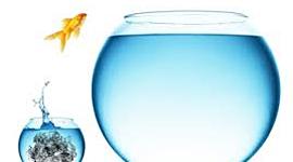 Timeline: Evolución del Internet