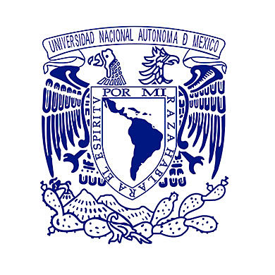 My admission to the UNAM