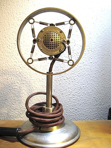 Microphone During Electric Stage