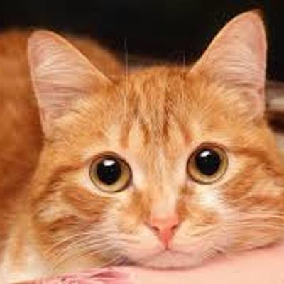 Timeline: La vie de Mathilde