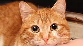 Timeline: La vie de Mathilde