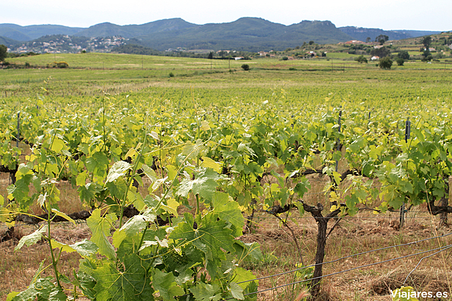 El Papa Urbà II confirma les propietats del monestir de Sant cugat al Penedès.