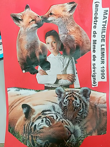 Mon diplôme de vétérinaire