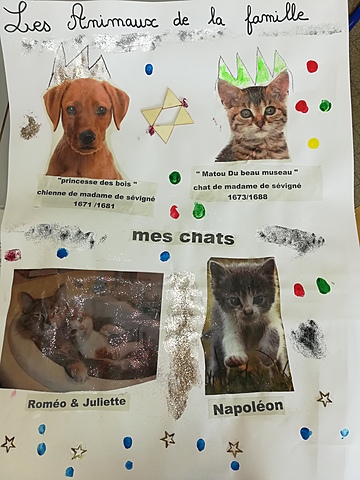 Photo de mes chats et de leurs ancêtres