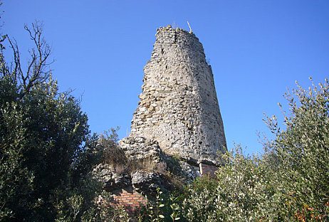 Galí de Sant Martí