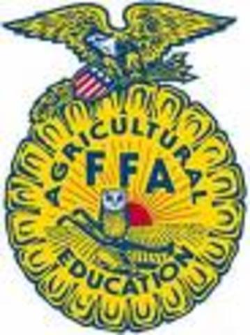 Hacé cuatro años que me Hacé FFA