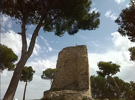 Torre de Banyeres