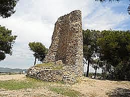 Galí de Sant Martí