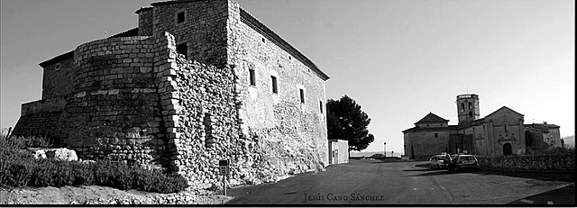Galí de Sant Martí colonitza el castell de Calders