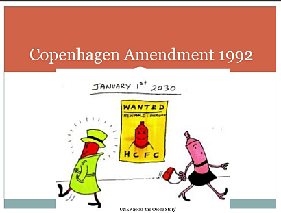Copenhagen Amendment
