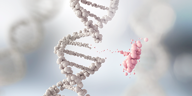 Predicciones genéticas