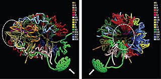 Fin de la educación secundaria