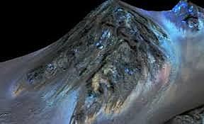 Abandono del profesorado de biología