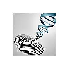 Inicio  de educación primaria