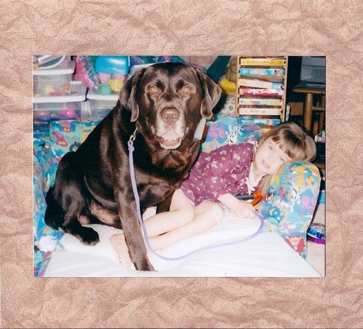 Hace once años que tuve un perro marrón y su nombre fue Bosco. Él fue mi mejor amigo.