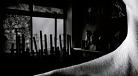 Timeline: El crisol de lo perdido y una mujer que desaparece