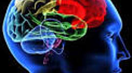 Timeline: Corrientes Psicologicas