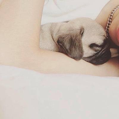 Timeline: la vida de Ely´s