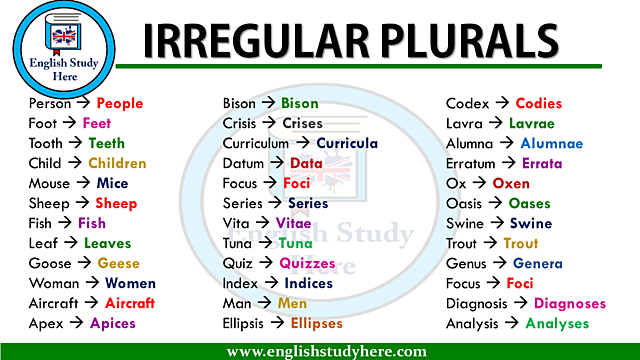 Irregular plurals