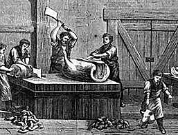 Meat Inspection Act & Pure Food and Drug Act