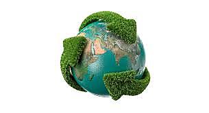 Relevancia del término "sustentabilidad" en el mundo