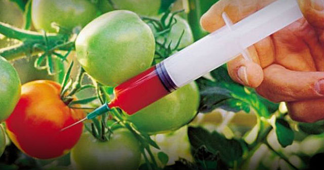 Rechazo a  la invasión de organismos en la Declaración Latinoamericana