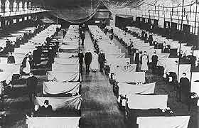 Influenza - The Deadly Threat