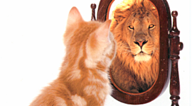 Timeline: Roy Erikson's Stages of Psychosocial Development