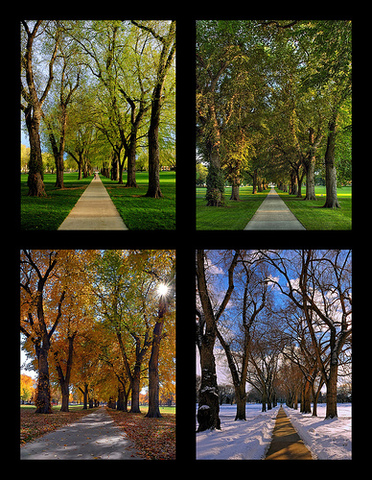 The Four Seasons