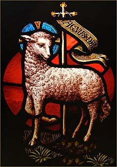 C.PP.S Colombia 2004