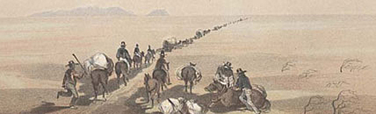 Pike's Peak Gold Rush (California)