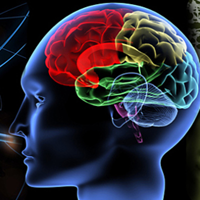 Timeline: Historia de la psicofisiología