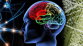 Timeline: Historia de la psicofisiología