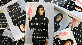 Timeline: In the Country We Love