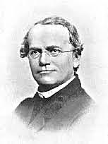 Gregor Mendel explained the patterns of inheritance
