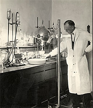 Discovery of Vitamin A and B