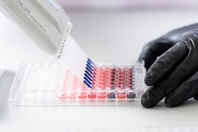 Nation's First Stem Cell Bank