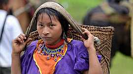 Timeline: Linea de Tiempo Indigenas