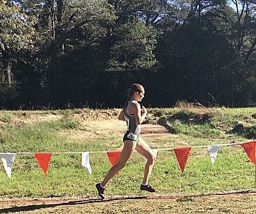 Early Adulthood: Physical Devolpment