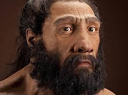 Homo Neardenthalensis