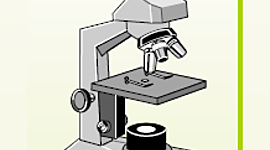 Timeline: Σταθμοί στην εξέλιξη της Μικροβιολογίας