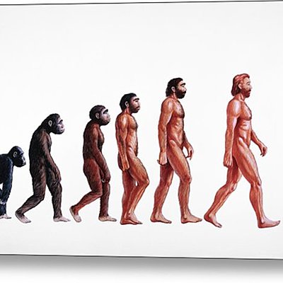 Timeline: Human evolution